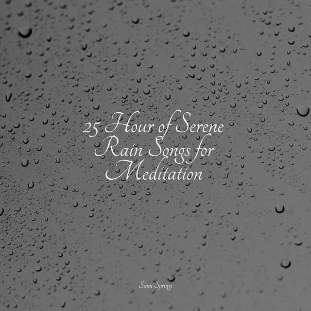 25 Gorgeous Rain Sounds for Sleep - Album by Sleepy Night Music | Spotify