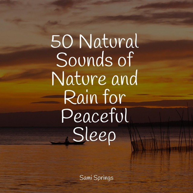50 Natural Sounds of Nature and Rain for Peaceful Sleep - Album by ...