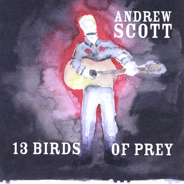 13 Birds Of Prey cover art