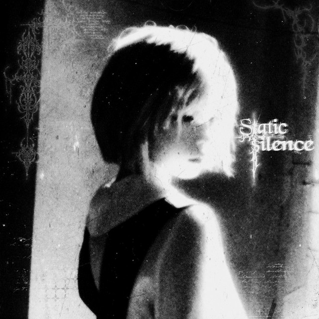 Обкладинка heavenguard — static silence
