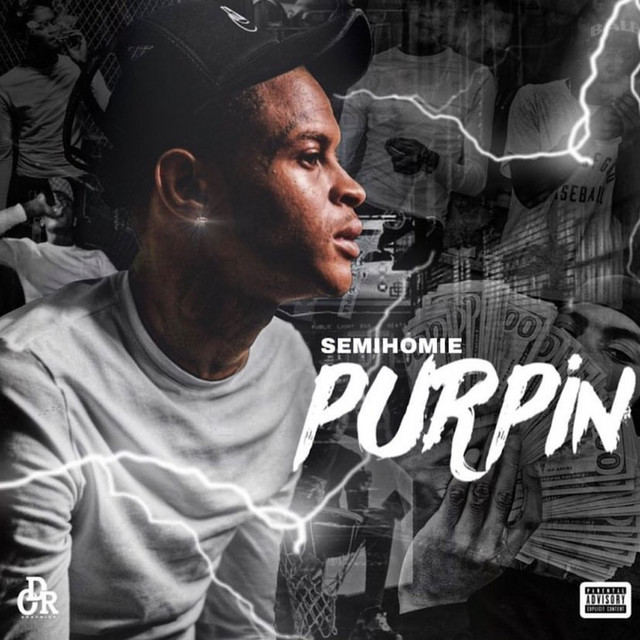 PURPiN cover art