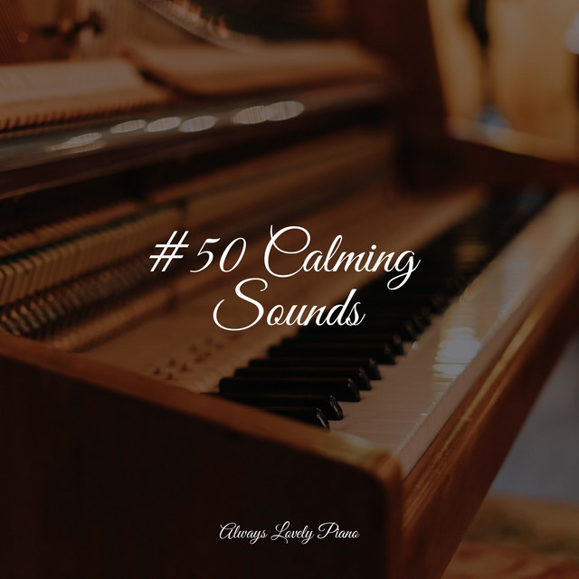 #50 Calming Sounds cover art
