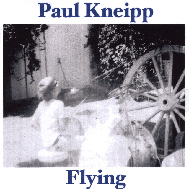 Flying cover art