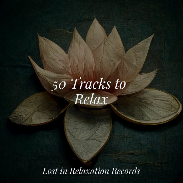 50 Tracks to Relax cover art