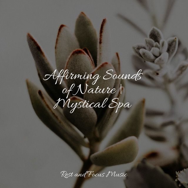 Affirming Sounds of Nature | Mystical Spa - Album by Pet Care Music ...