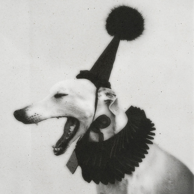 Ghost Hound