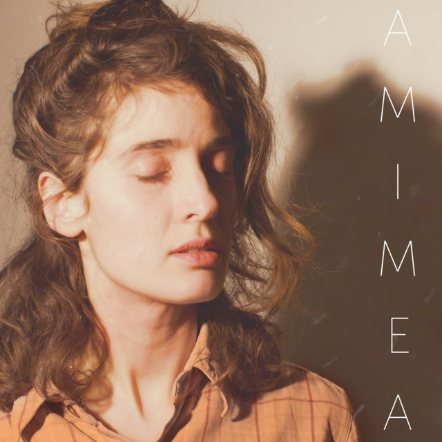 Dim cover art
