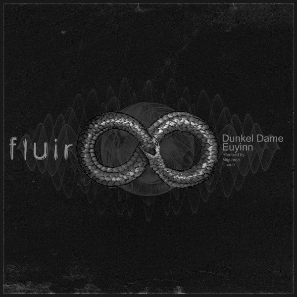 Fluir cover art