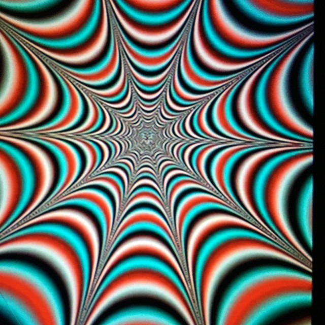 Evolve cover art
