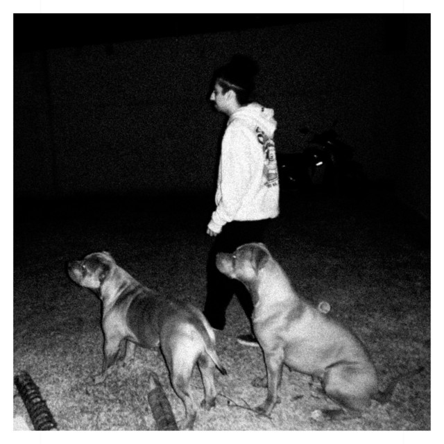 Mundo Cão cover art