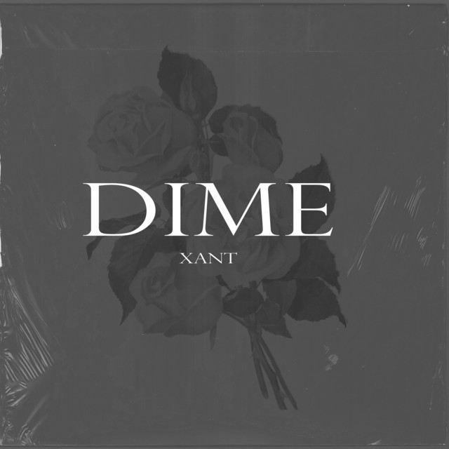 Dime cover art
