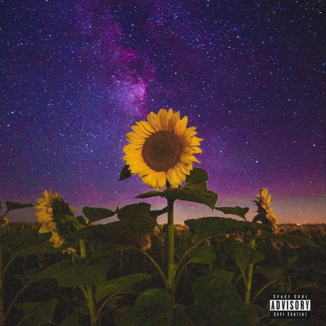 Sunflower Etude
