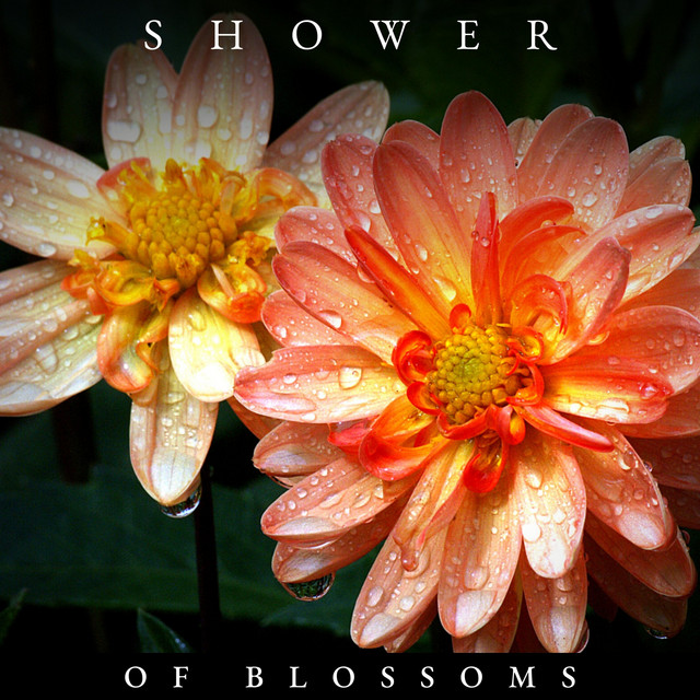 Shower of Blossoms cover art