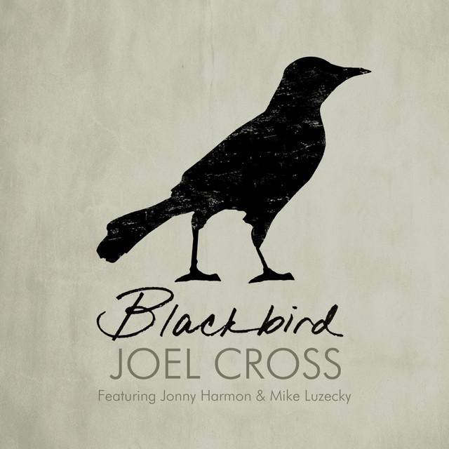 Blackbird