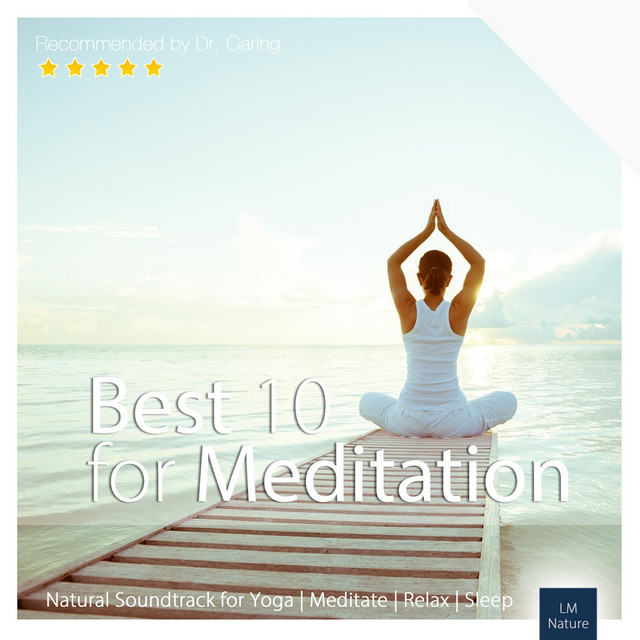 Best 10 for Meditation | Nature Sounds to Relax cover art