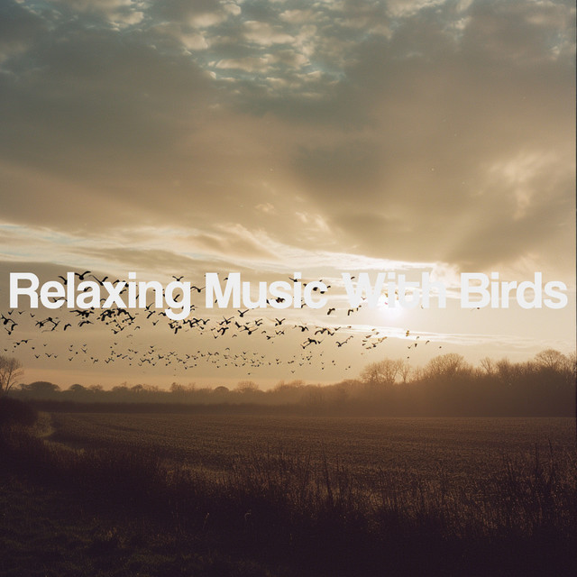 Relaxing Music With Birds cover art