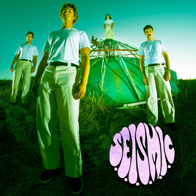 S.E.I.S.M.I.C cover art