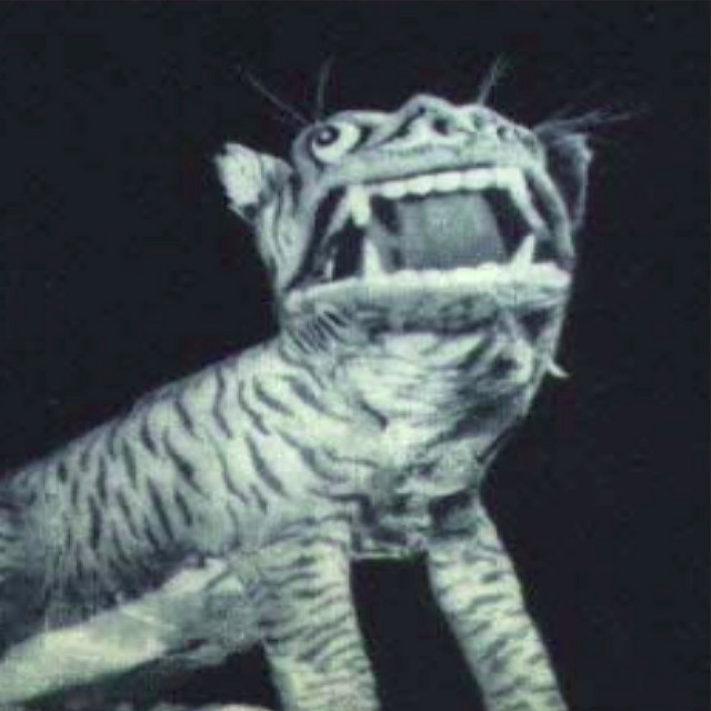 Paper Tiger cover art