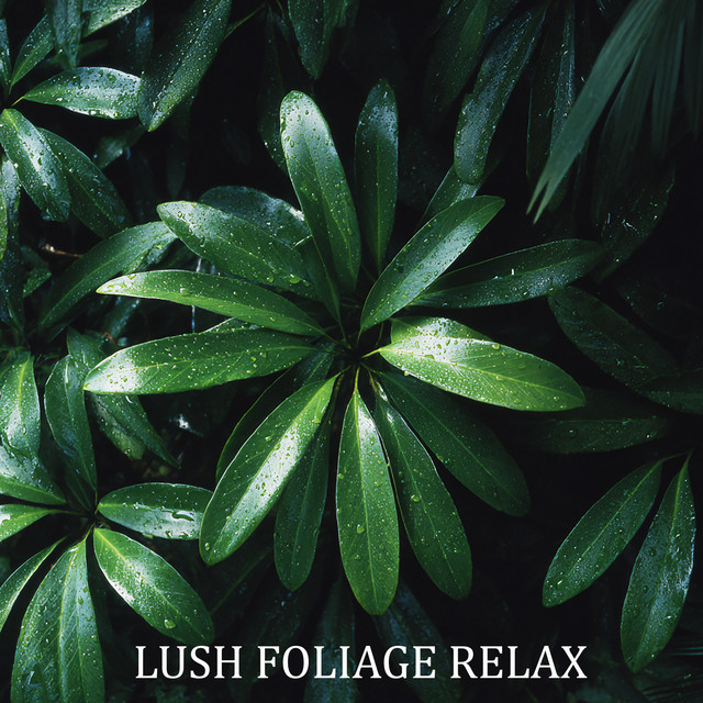 Lush Foliage Relax
