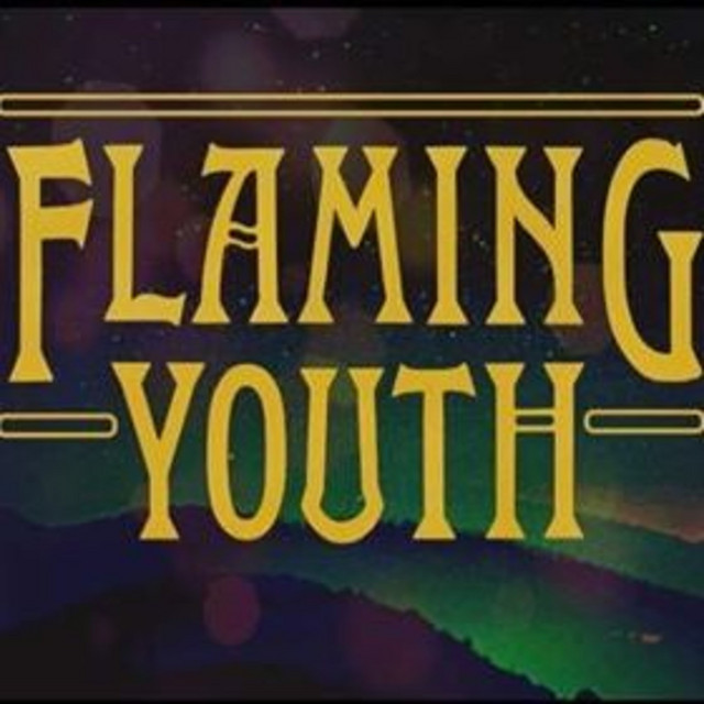 Flaming Youth cover