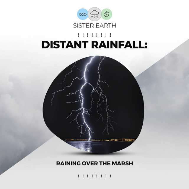 Distant Rainfall: Raining Over the Marsh ! ! ! ! ! ! ! ! - Album by Thunde