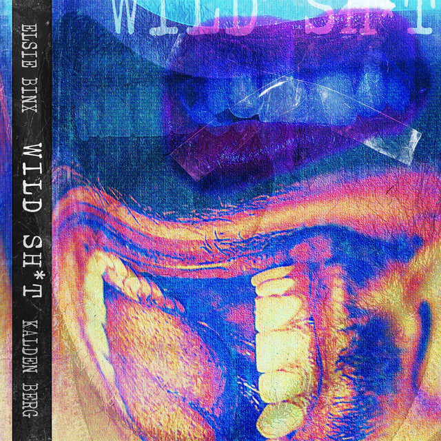 Wild Shit cover