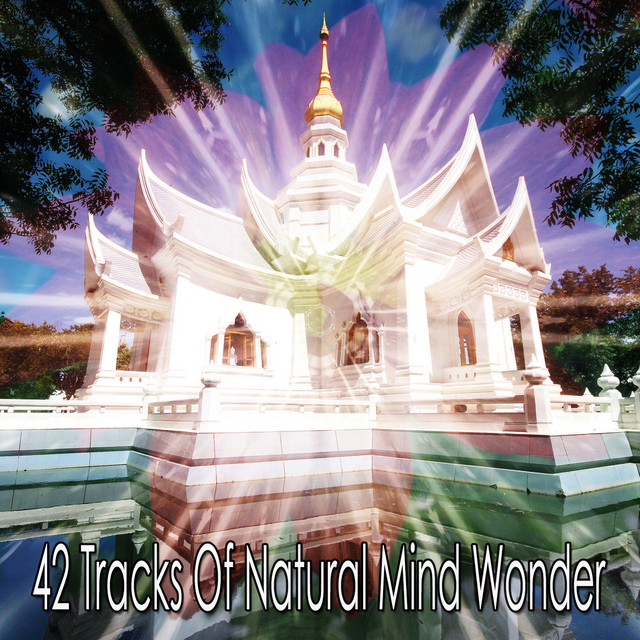 42 Tracks Of Natural Mind Wonder cover art