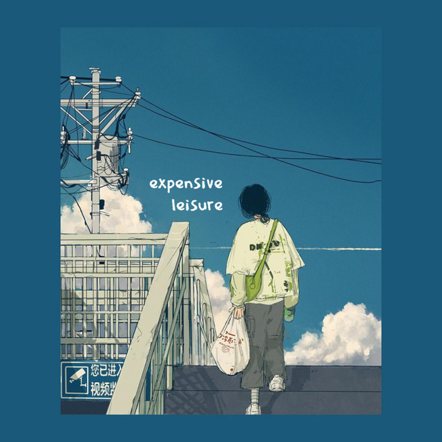 expensive leisure cover art