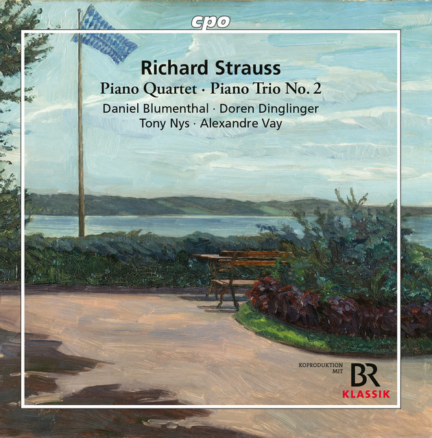 Strauss: Piano Quartet in C Major, Op. 13, TrV 137 & Piano Trio No. 2 in D Major, TrV 71 cover art