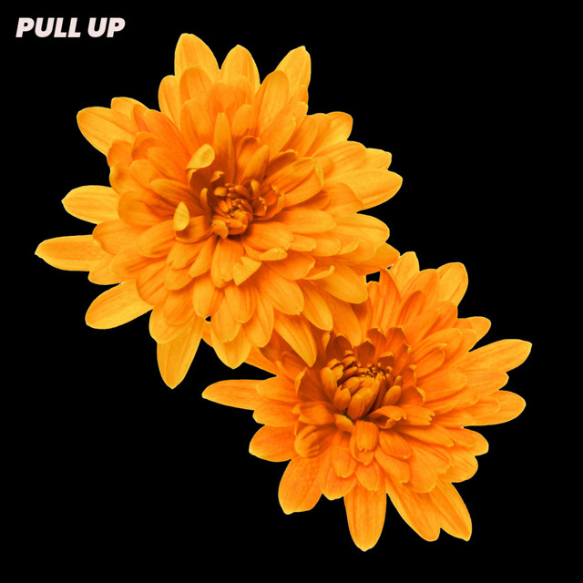 pull up cover art
