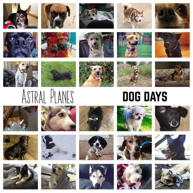 Dog Days cover art