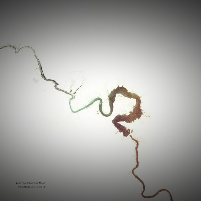 Perpetual Life Cycle cover