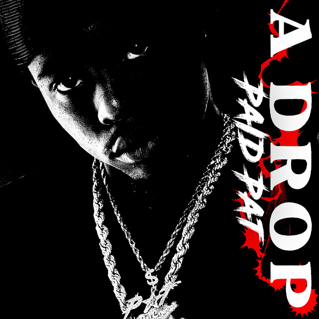 A Drop - Single by Paid Pat | Spotify