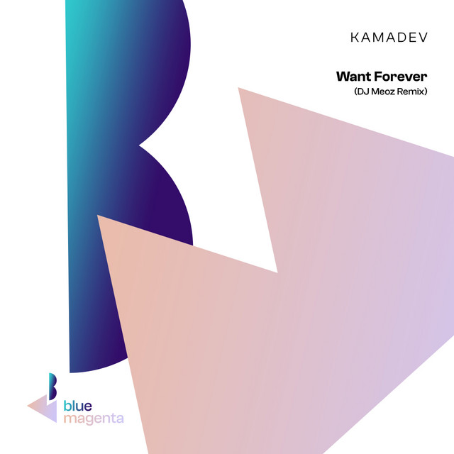 Want Forever - DJ Meoz Remix