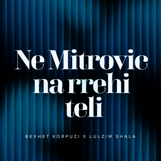 Ne Mitrovic na rrehi teli