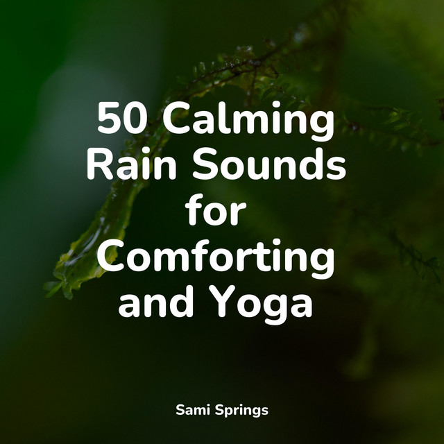50 Calming Rain Sounds for Comforting and Yoga cover art