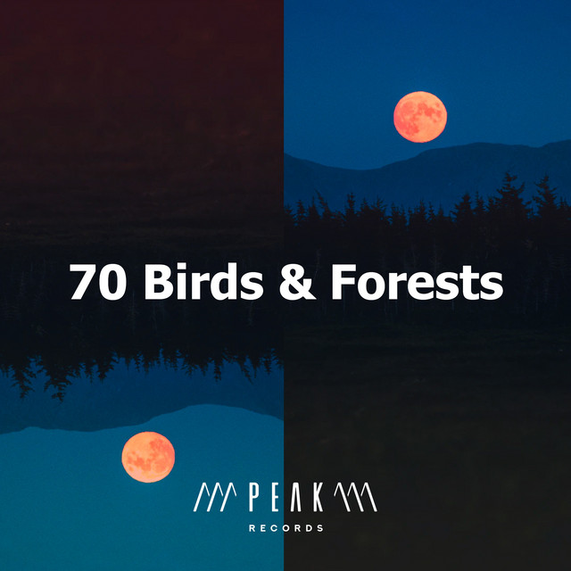 70 Birds & Forests - Album by Nature Sounds | Spotify