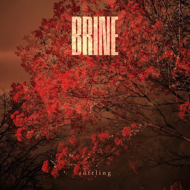 Softling cover art