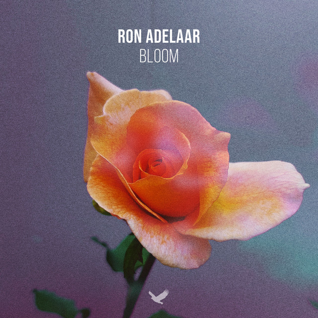 Bloom cover art