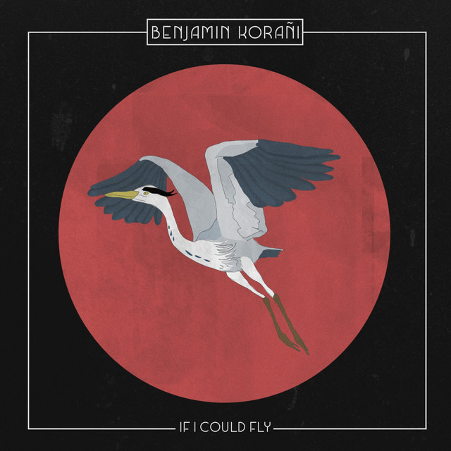 If I Could Fly cover art