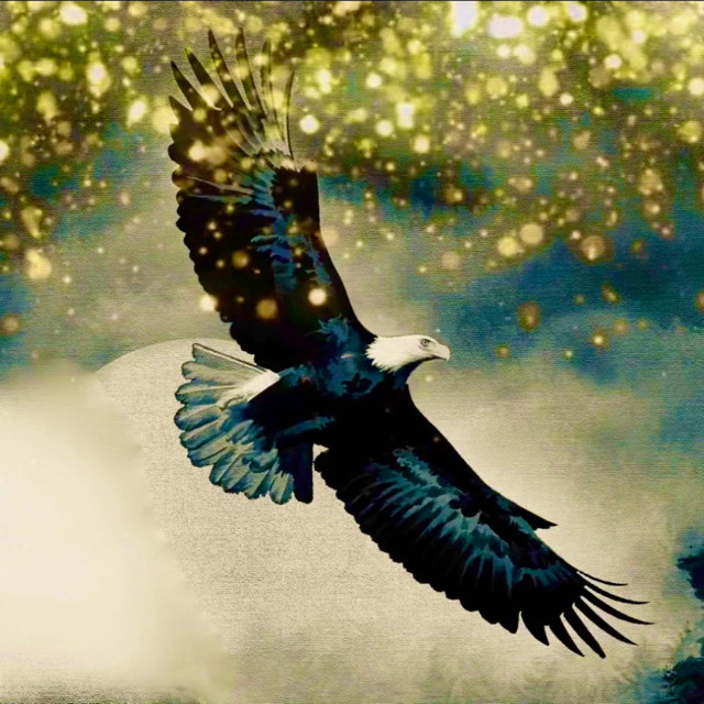 The Eagle - Instrumental