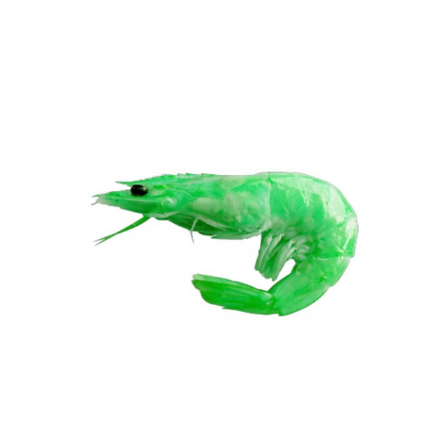 The Green Shrimp cover art