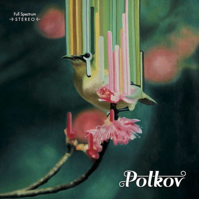 Polkov cover art