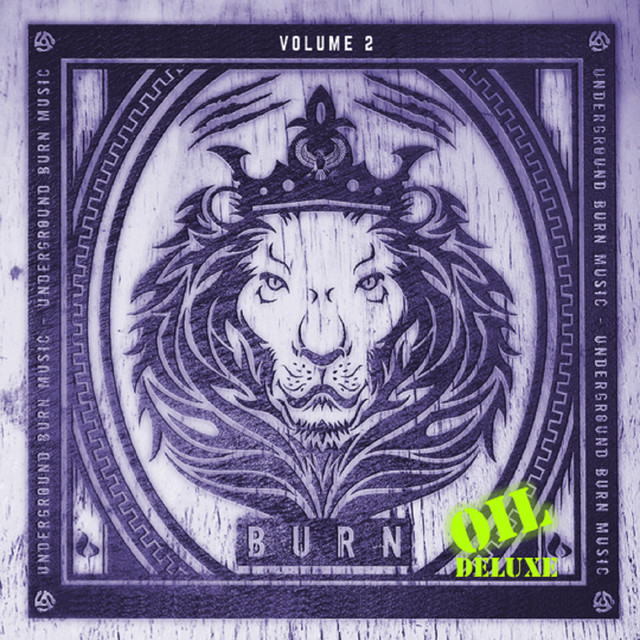 Underground Burn Music Vol. 2 Oil Deluxe cover art