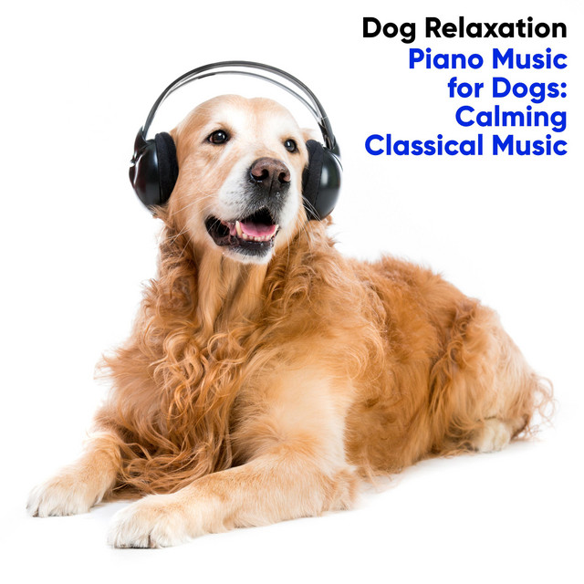Piano Music for Dogs: Calming Classical Music cover art