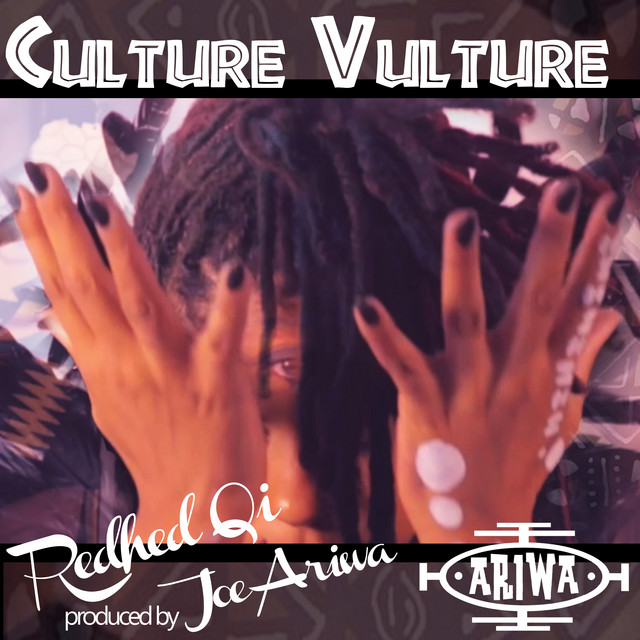 Culture Vulture album image