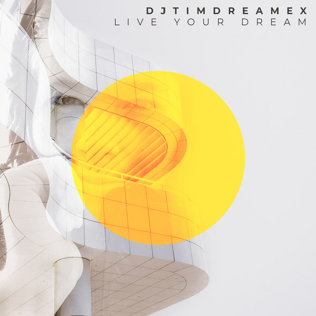 Live Your Dream - Single by DjTimDreamex | Spotify