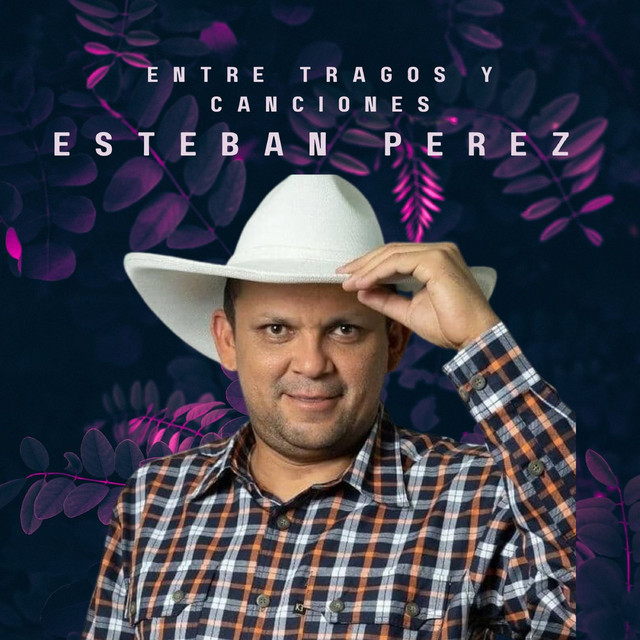 Entre Tragos Y Canciones - Single by Esteban Pérez | Spotify