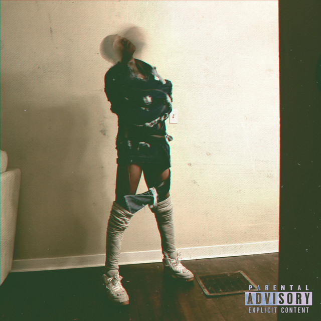 D V S V cover art