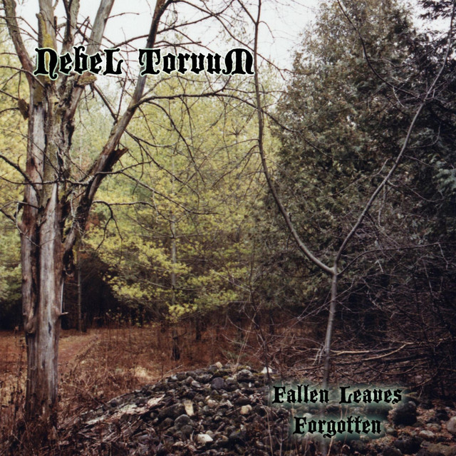 Fallen Leaves Forgotten cover
